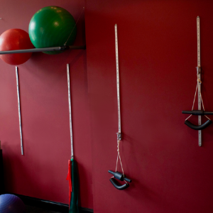 exercise and rehab equipment